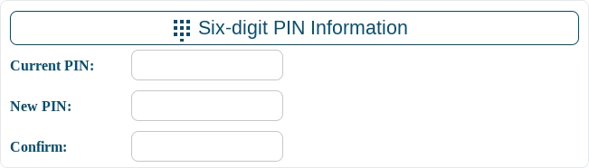 PIN Information Section Screenshot